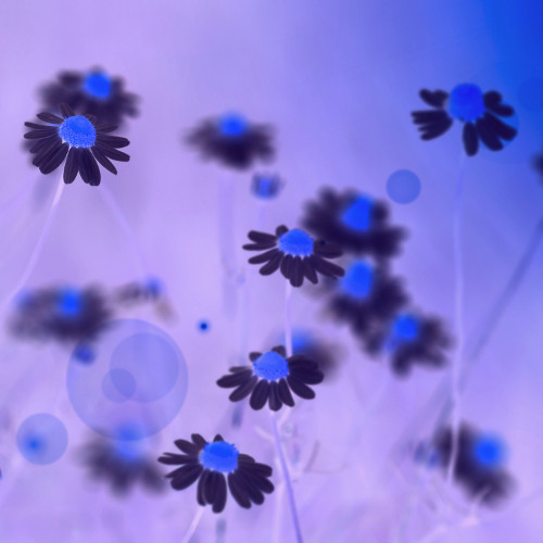 BRM PREMIERE: A4z - Inevitable (Original Mix) [B Studio Records]