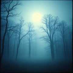 NiLo - In the mist