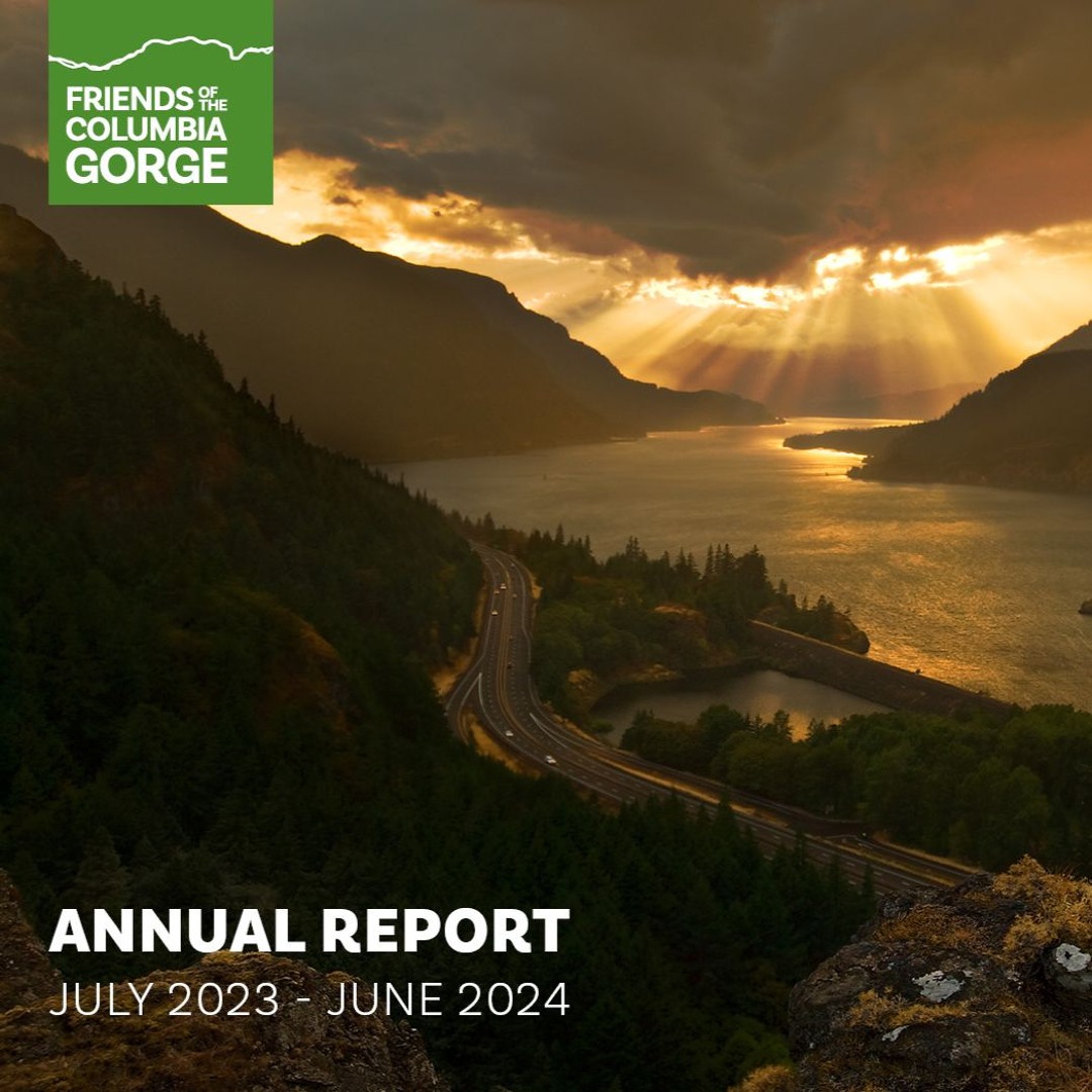 Stream annual report 2023 24 volunteer stewardship program recap by
