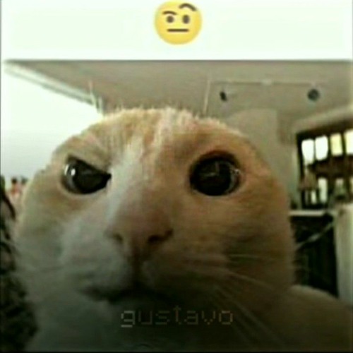 🤨