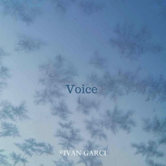 Voice (Original Mix)