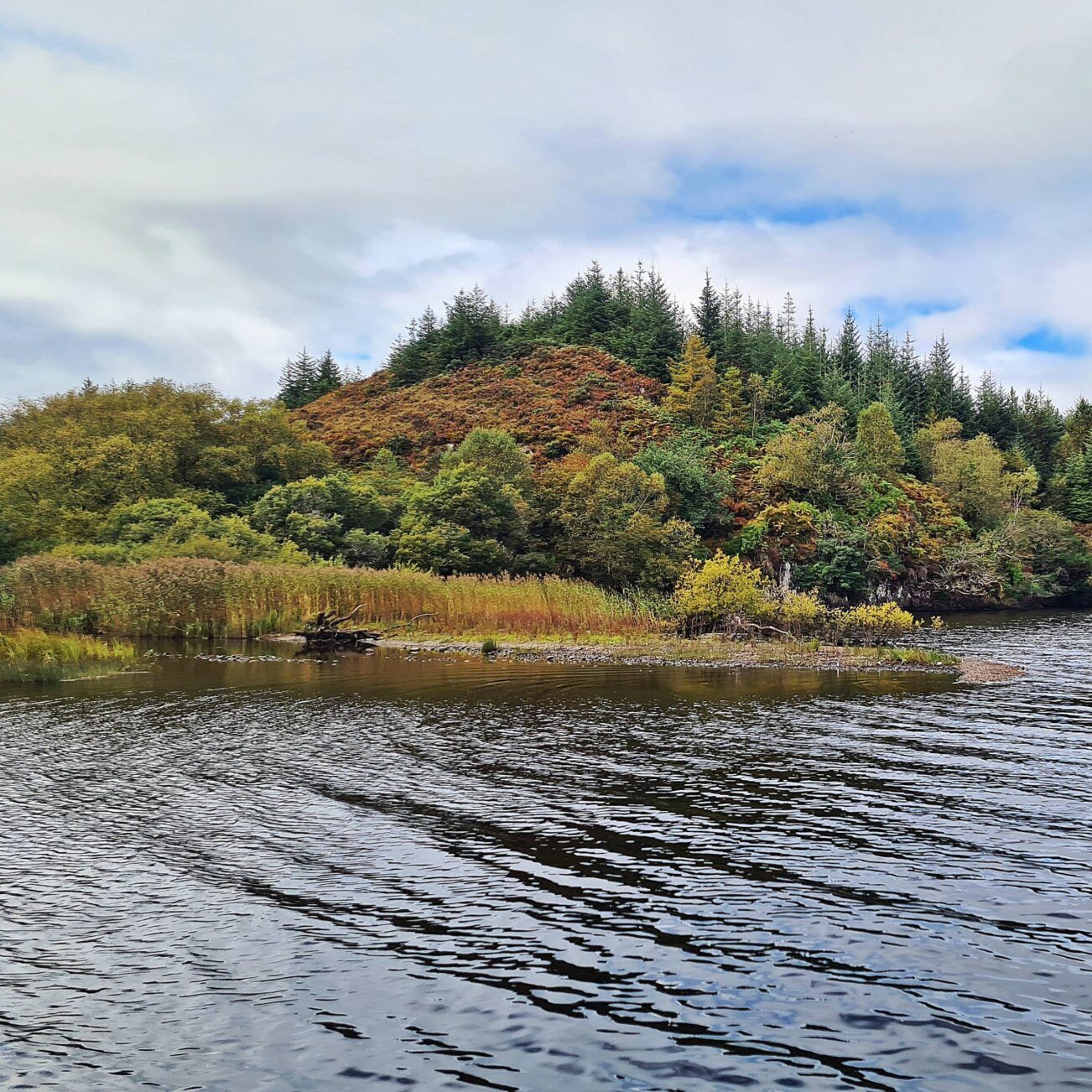 Peche en irlande