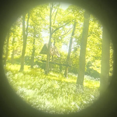 losp shambala mix enchanted woods 25