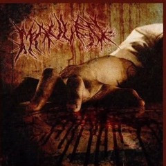 MAULED : FROM LIFE... TO LIFELESS
