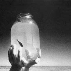 Placidity