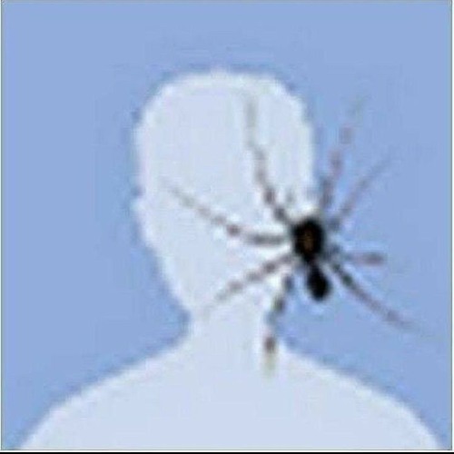 LucidSonicDreams