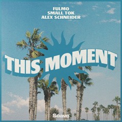 Fulmo, Small ToK & Alex Schneider - This Moment