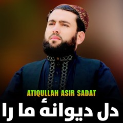 دل دیوانهٔ ما را