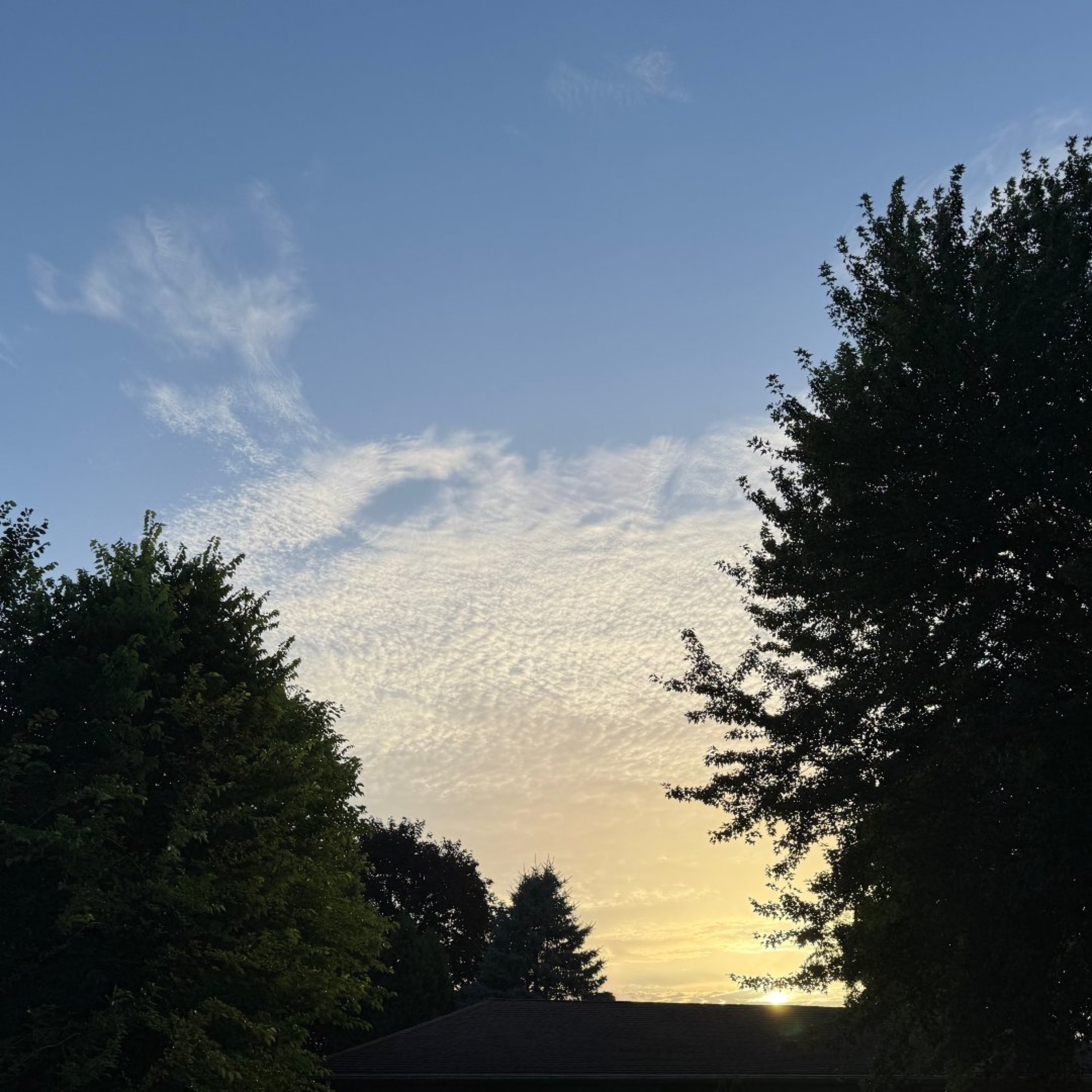 Forecast from Wednesday 7-15-26