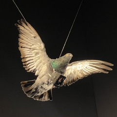 Auf Entspannt sofa chill yeah yo