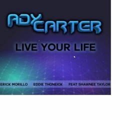 Live Your Life - (Sample) OUT NOW ON accelerationdigital.co.uk