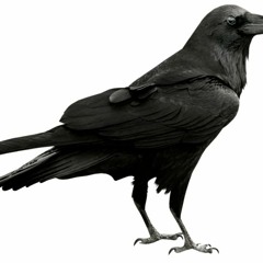 The Buster Theme Song