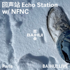 Echo Station W/ NFNC