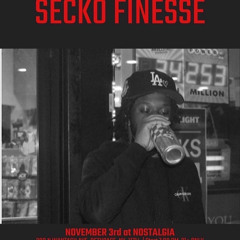 FINESSER (prod.by Luna)