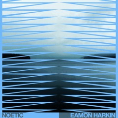 PREMIERE: Eamon Harkin - Noetic (Darker Than Wax)
