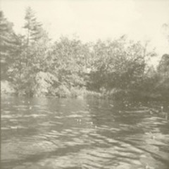 Re-Collect / Re-Told: Brenda Scott