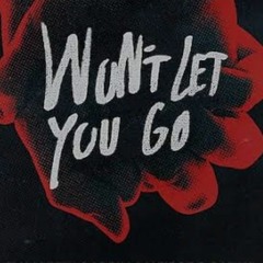 WON'T LET YOU GO