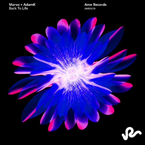 Marvo x AdamK - Back To Life