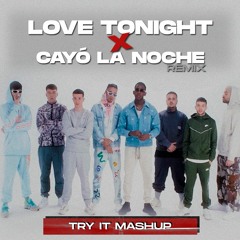 Love Tonight x Cayó La Noche Remix (Try It Mashup) | Shouse, Quevedo | FREE