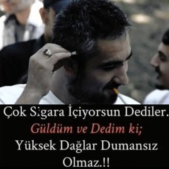 molv - öyle değil