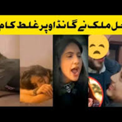 ORIGINAL}} jobz hunting sajal malik Viral Video apk3x sajal malik viral video apk3 new
