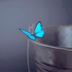 Butterfly (Dazay x Prod.Aiza)