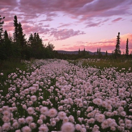 Stream Show me your face | Dejame ver tu rostro by Berenice Hogarth ...