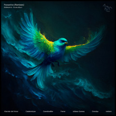 𝐏𝐑𝐄𝐌𝐈𝐄𝐑𝐄: Catatonique - Passerine (vietzen Remix)