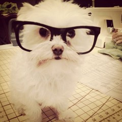 aeratecord-bb_(07092024)