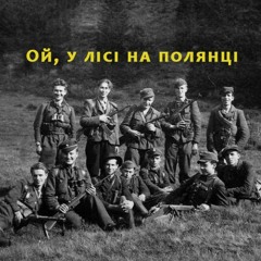 Ой, у лісі на полянці - Вермінський Володимир Євгенович (cover by Solomiia Butkovska)