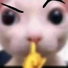 Giàu vì bạn Sang vì vợ - Kim Chí Thành Remix