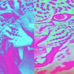 ᴠɪʙʀᴀɴᴄᴇ.