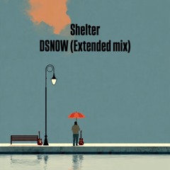 Shelter - DSNOW