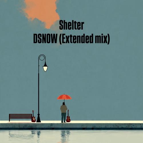 Shelter - DSNOW