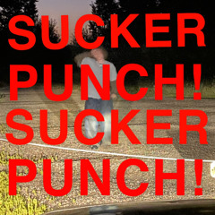 SUCKERPUNCH!