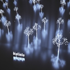 Distinto [fendireplica + agustinsito]
