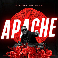 titktoken vivo dj el apache  2026-02-17