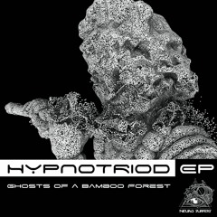 04 Hypnotriod - Let Yourself Fly