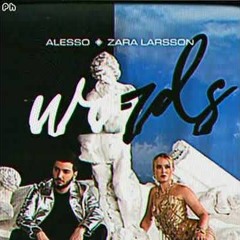 Words- Alesso & Zara Larsson Official