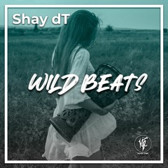 Shay dT - Wild Beats