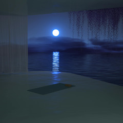 harmonie d'un soir