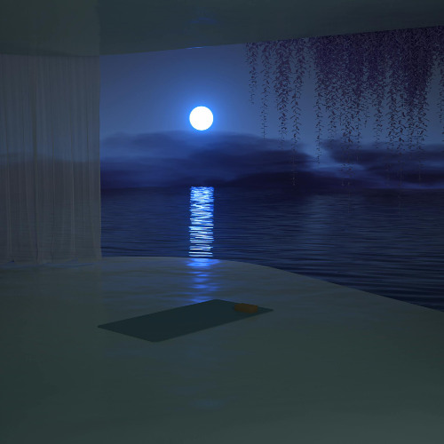 harmonie d'un soir