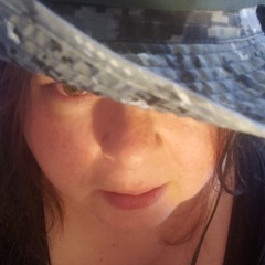 VP:  Liar - Rough Cover JellyRoll & Lady Rebel