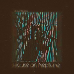 HOUSE ON NEPTUNE