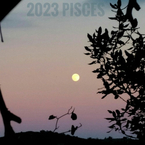 2023 pisces