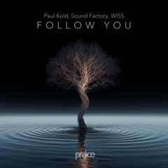 Paul Kold, Sound Factory, WISS - Follow You (Radio Mix)