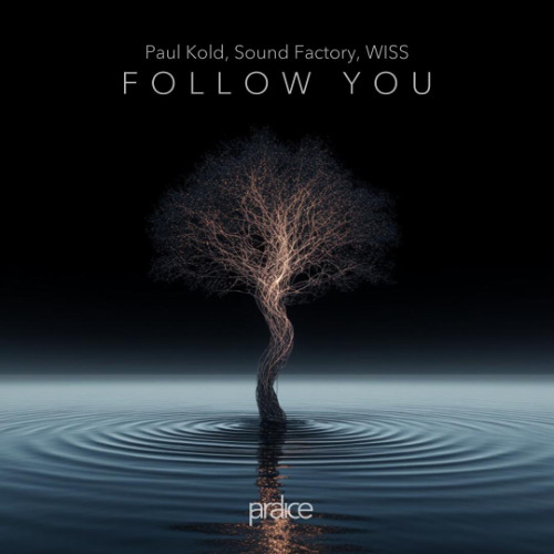 Paul Kold, Sound Factory, WISS - Follow You (Radio Mix)