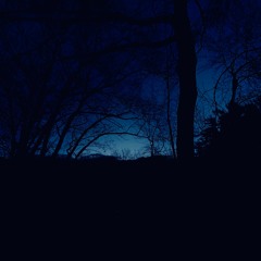 see it now (ripracs dreamnote)