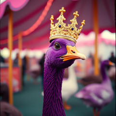 Purple Goose in charge