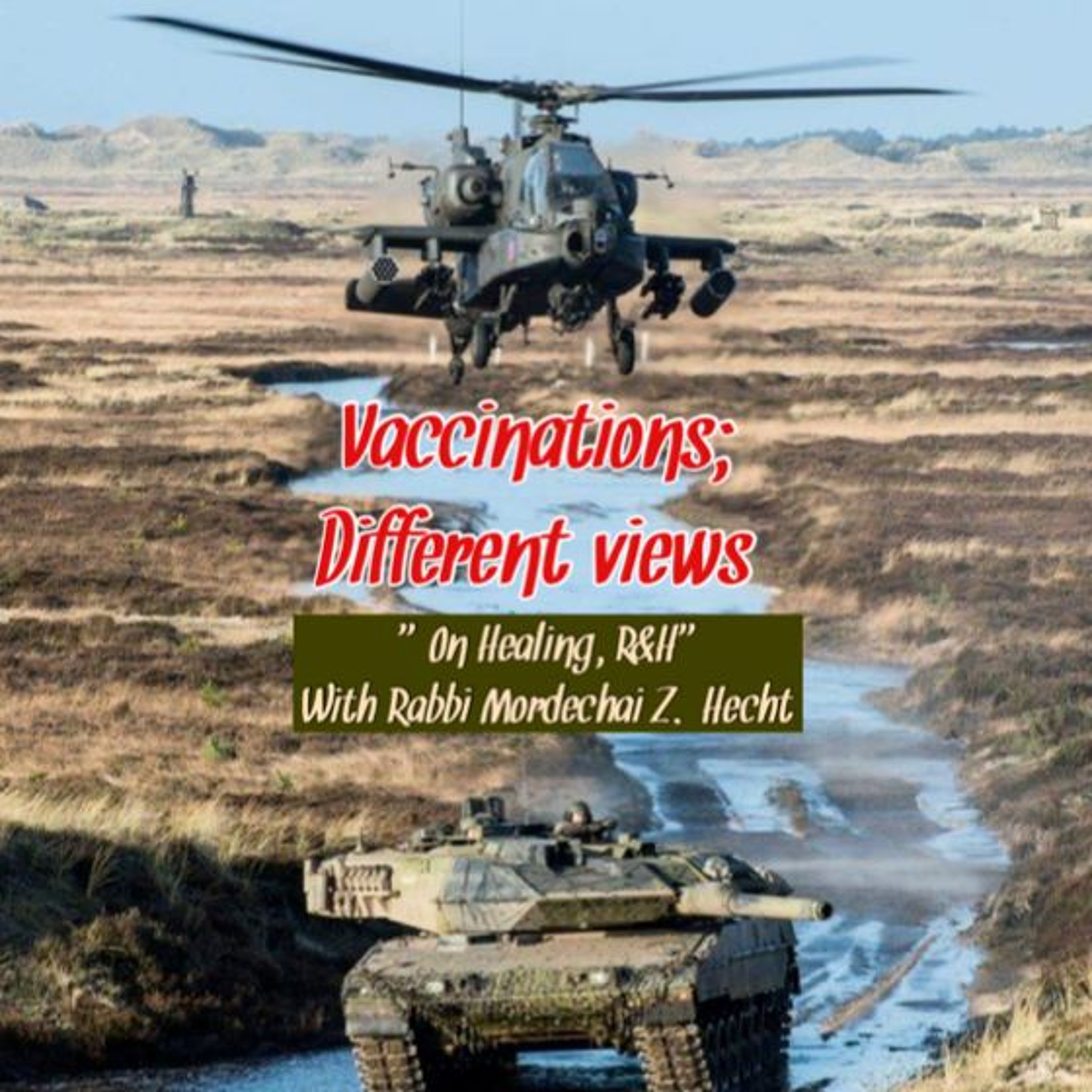 On Healing R&H: Ep.#66:  Vaccination; Different Views episode artwork